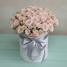 Цветочная композиция из Розы в шляпной коробке #REPLACE_PRED# Ягодное