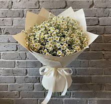 Букет цветов из:  Ромашки #REPLACE_PRED# Ягодное